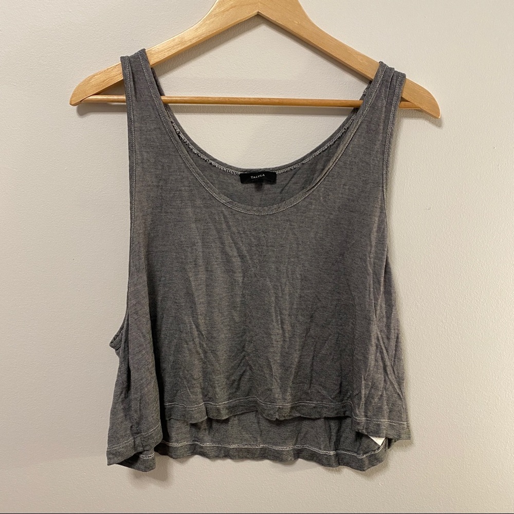 Aritzia Talula Grey Tank Top